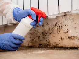 Best Mold Prevention Services in Williamsburg, PA